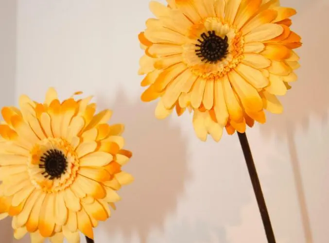 Appartement Bv7 - Bridge View