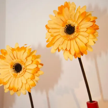 Appartement Bv7 - Bridge View